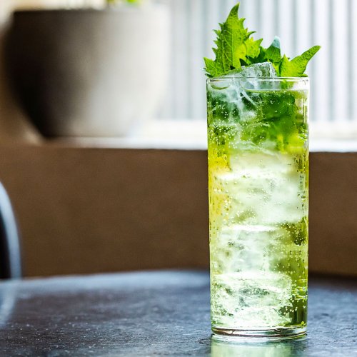 All The Ways To “& Tonic”