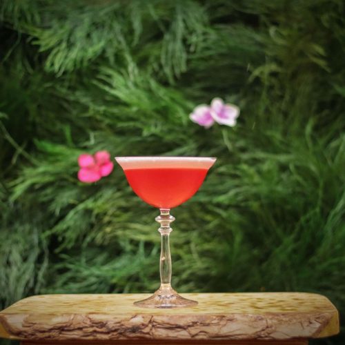 Clover Club