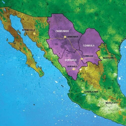 Drinks Atlas: Sotol In Northern Mexico