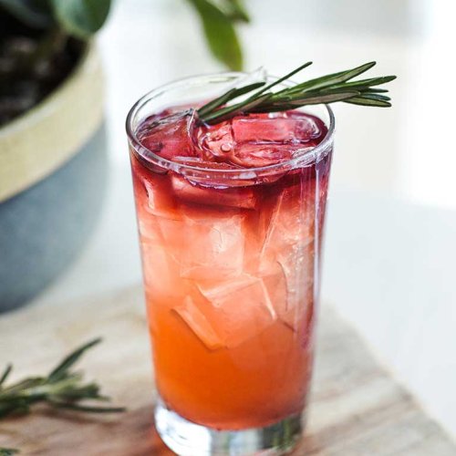 Shrub Cocktails