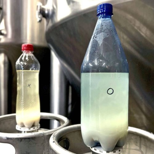 A Korean American Brewer Connects With His Heritage Through Makgeolli