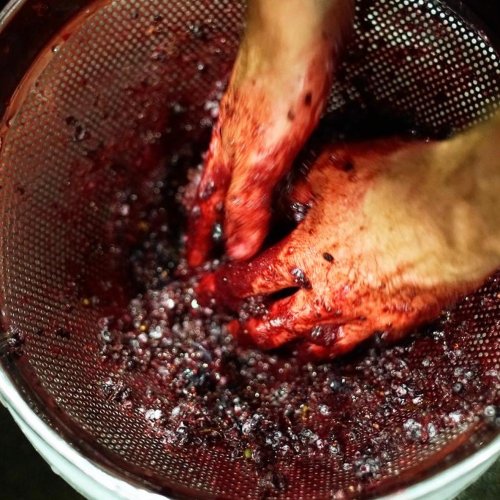 Is This Even Wine?