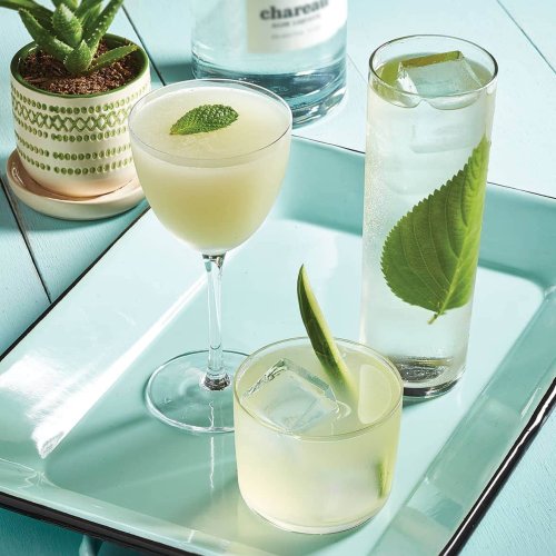 Elements: Chareau Aloe Liqueur