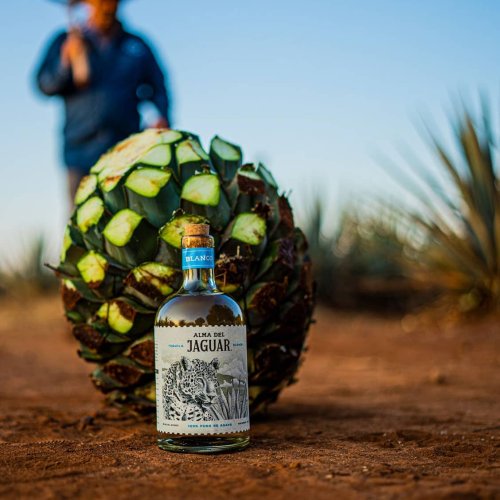 Drink Of The Week: Alma Del Jaguar Blanco Tequila