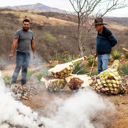 The Mezcal Boom And The Lives Of The Families Who Make It