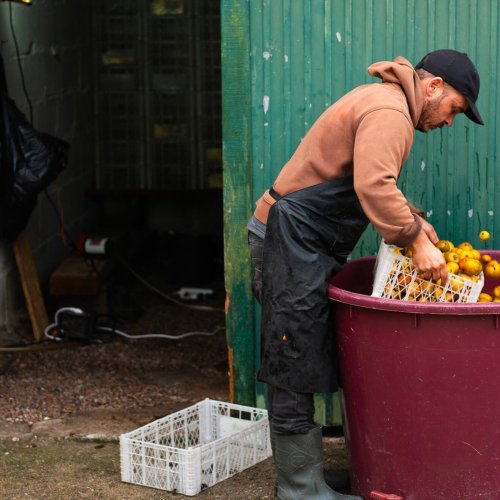 Can Pedro Paiva Save Portuguese Cider?