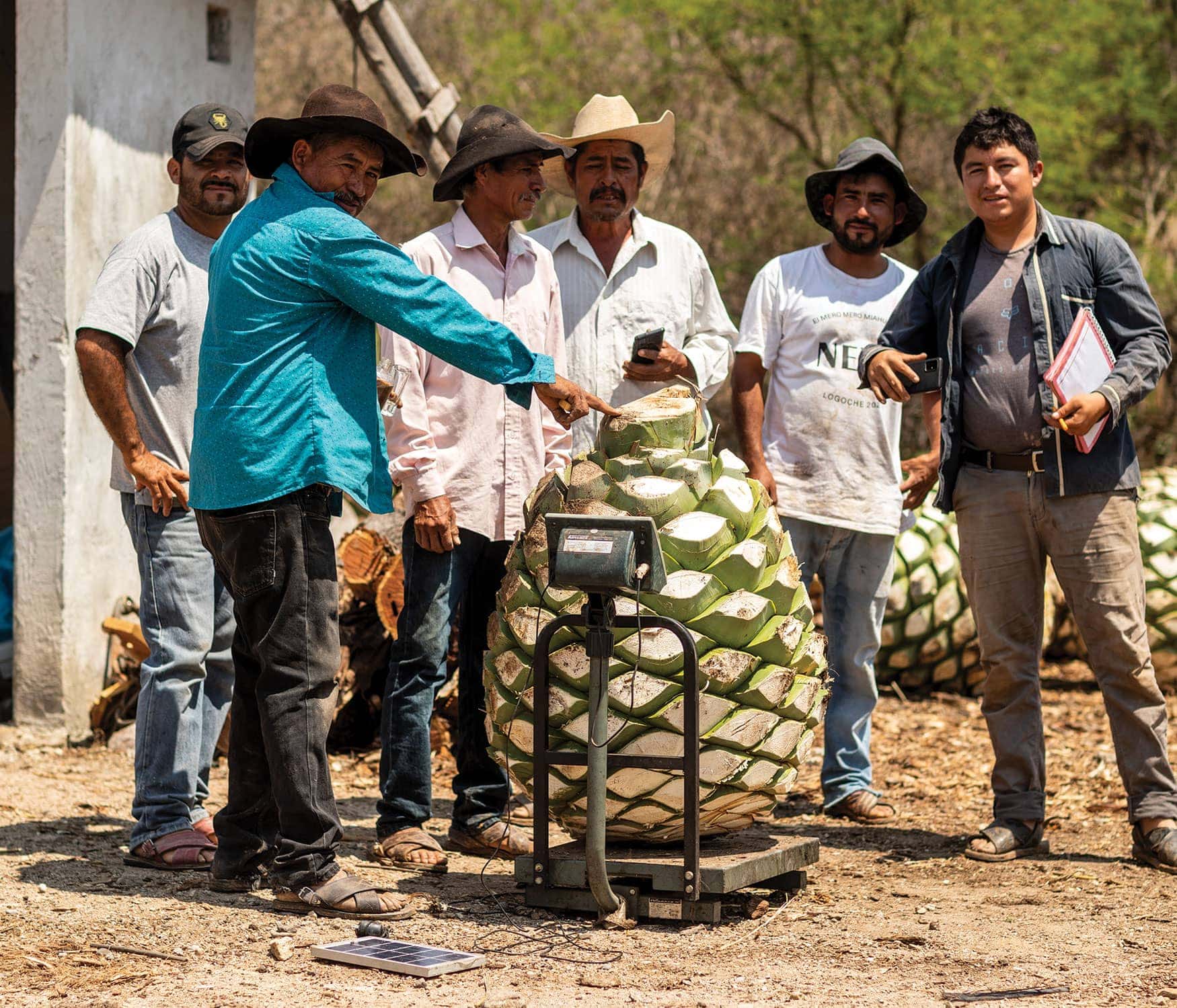 Getting to Know Family-Made Mezcal