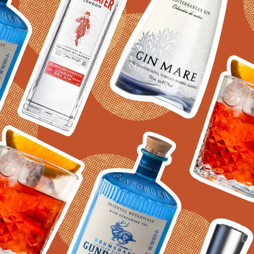 The Best Gin For Negronis, According To Bartenders