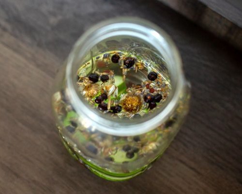 A Beginner’s Guide To Making Gin At Home