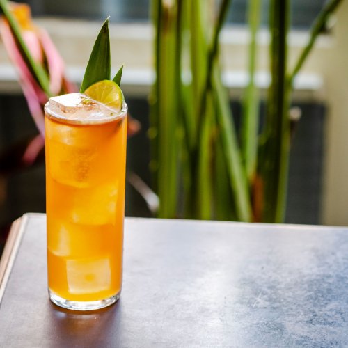 Five Underrated Tropical Classics