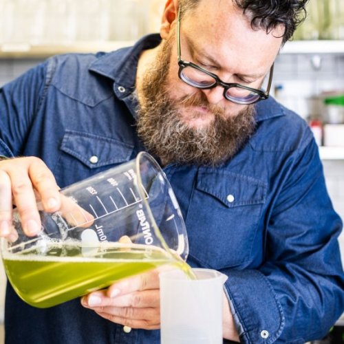 For These Bartenders, Only Diy Chartreuse Will Do