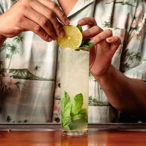 Bring Back The Mojito Caballito