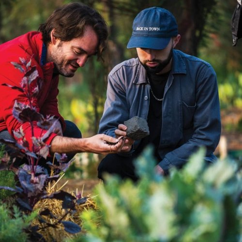 To Make Great Cocktails, Bartenders Head To The Farm