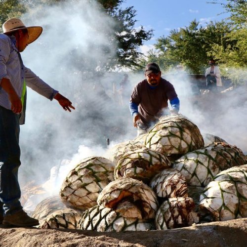 Don’t Know Where To Start With Mezcal? Here Are 10 Producers To Know.