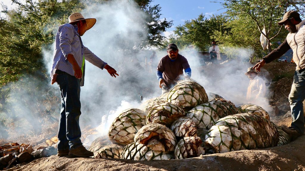 Don’t Know Where to Start With Mezcal? Here Are 10 Producers to Know.