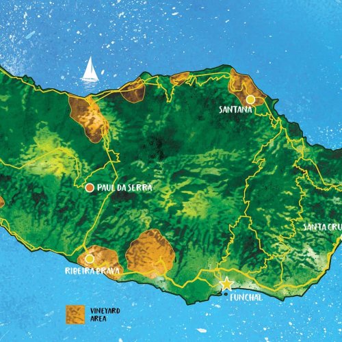 Drinks Atlas: Madeira Wine
