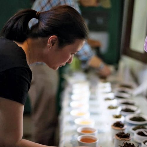 Unexpected Tea Regions Are Flush With Promise
