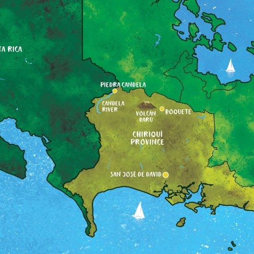 Drinks Atlas: Panamanian Coffee