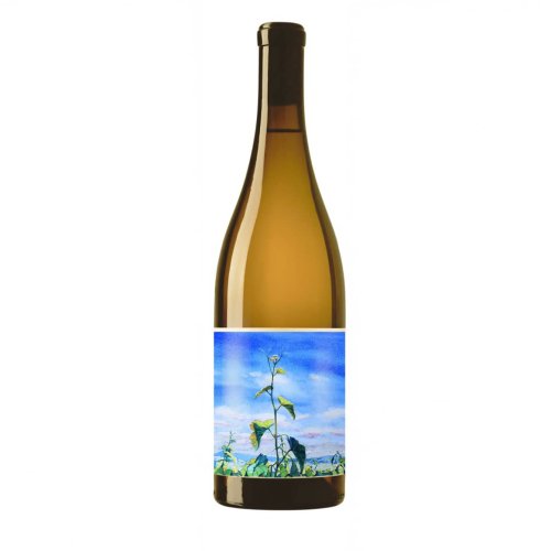 Drink Of The Week: Johan Vineyards 2022 Savagnin