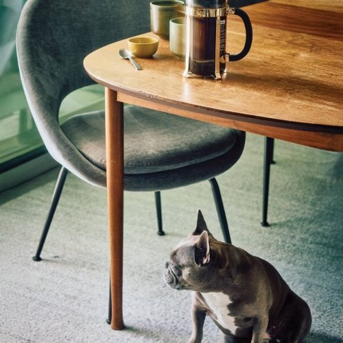 Tools And Tips For Better French Press Coffee