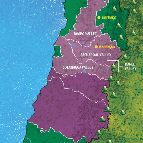 Drinks Atlas: Chilean Wine