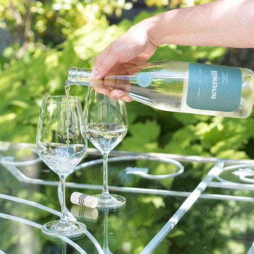 Drink Of The Week: Neverstill Chenin Blanc 2023 