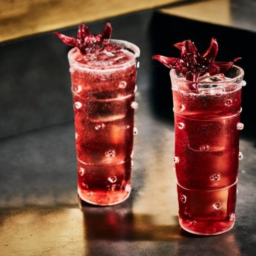 Holiday Punch Recipes